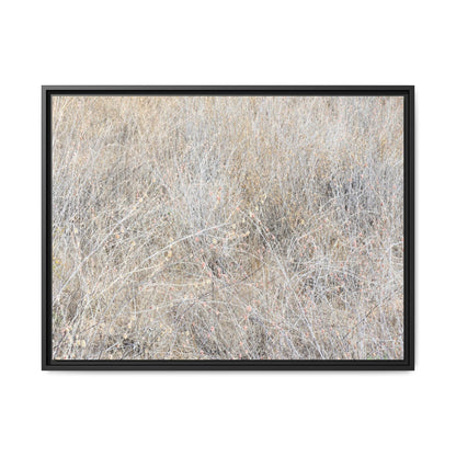 Whispers of Dry Grass - Unique Stretched Canvas Wall Art - Art By Earth
