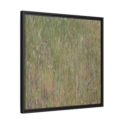 Field of Dreams - Unique Stretched Canvas Wall Art