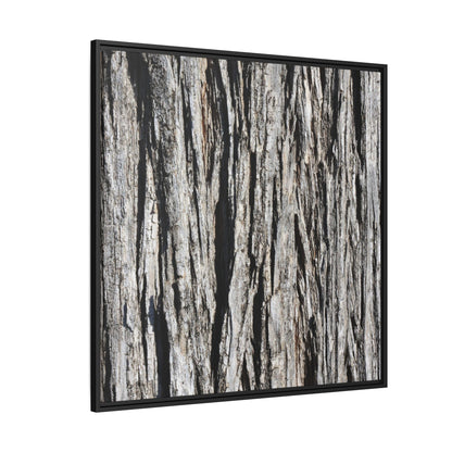 Bark Lines - Unique Stretched Canvas Wall Art
