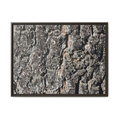 Aged Beauty - Unique Stretched Canvas Wall Art