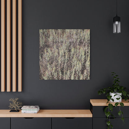 Whispers in the Sage - Unique Stretched Canvas Wall Art - Art By Earth