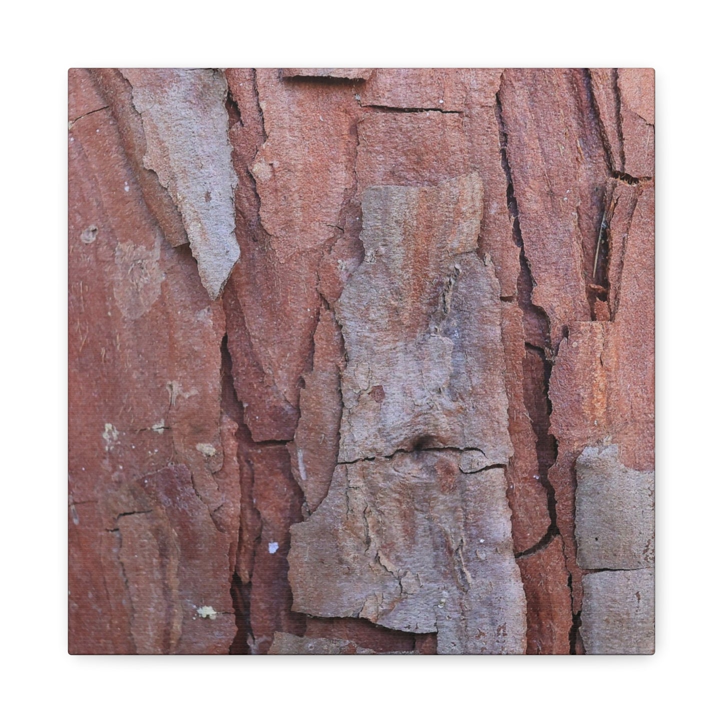Fractal Rust - Unique Frameless Canvas Wall Art