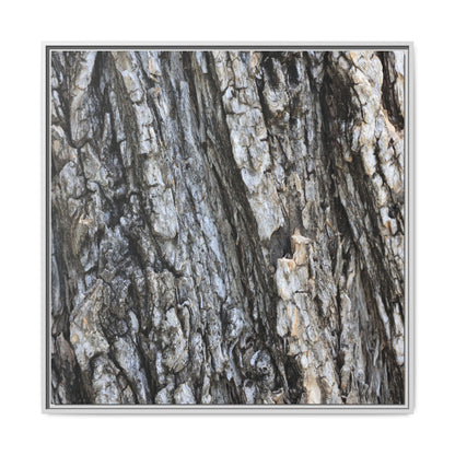 Twisted Textures - Unique Stretched Canvas Wall Art