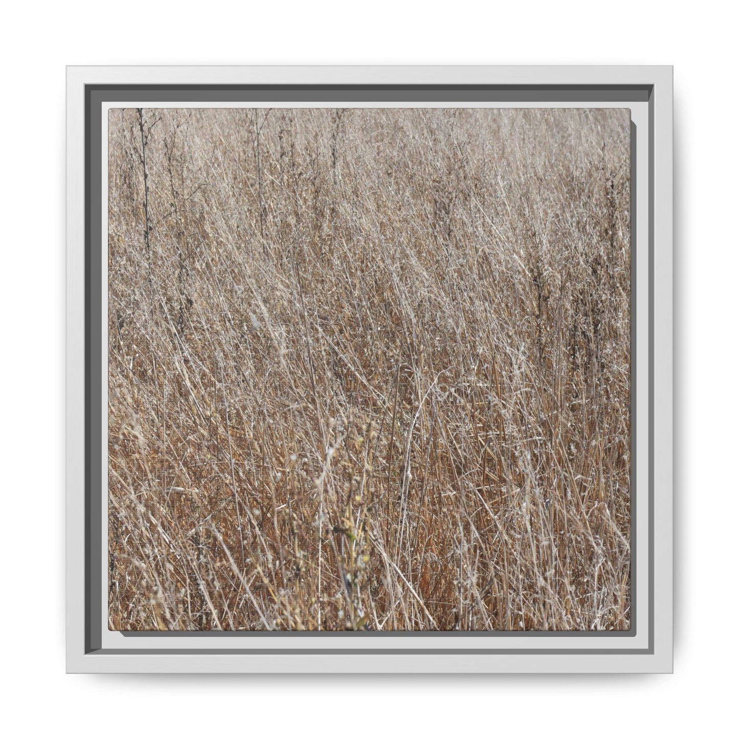 Whispers of Autumn - Unique Stretched Canvas Wall Art - Art By Earth