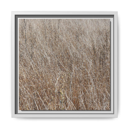 Whispers of Autumn - Unique Stretched Canvas Wall Art - Art By Earth