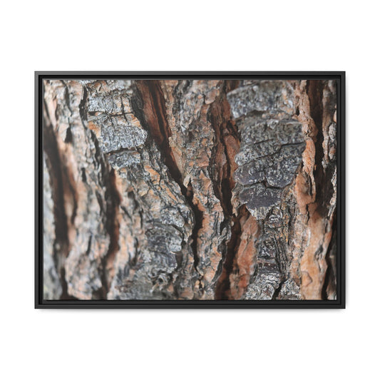 Fractured Nature - Unique Stretched Canvas Wall Art
