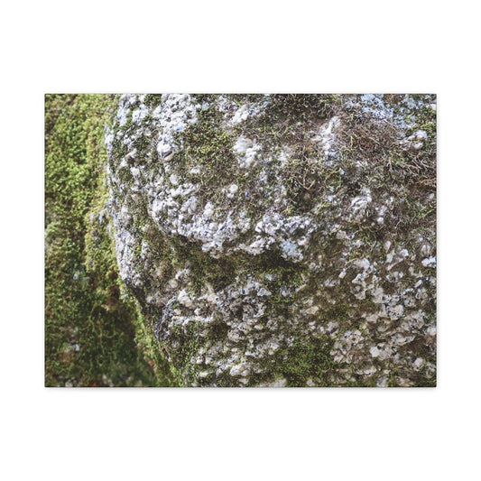 Moss and Stone Whispers - Unique Frameless Canvas Wall Art