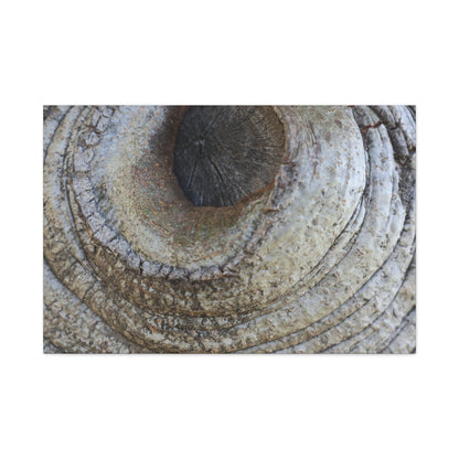 Bark's Eye - Unique Frameless Canvas Wall Art