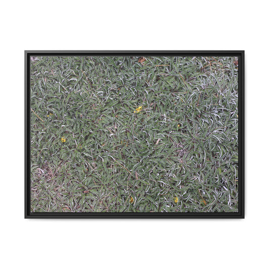 Grassy Texture - Unique Stretched Canvas Wall Art