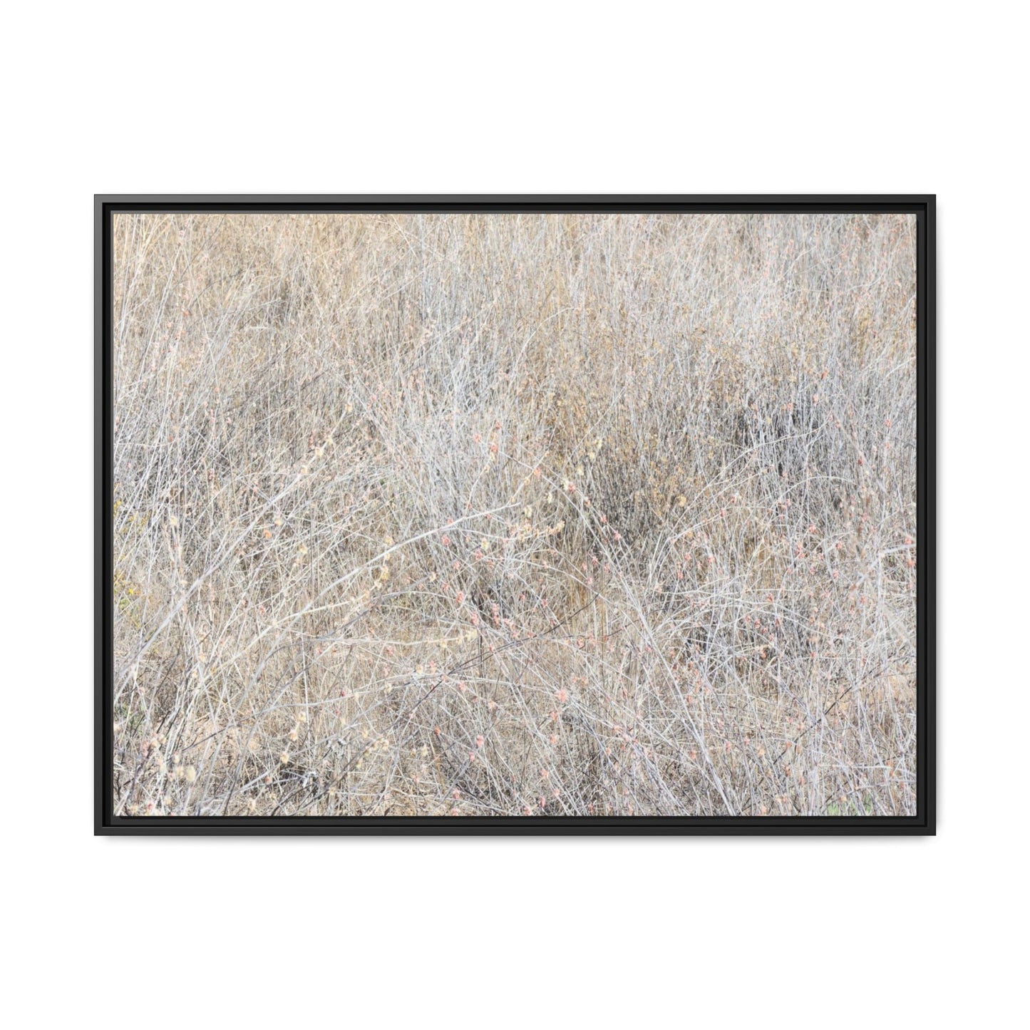Whispers of Dry Grass - Unique Stretched Canvas Wall Art - Art By Earth