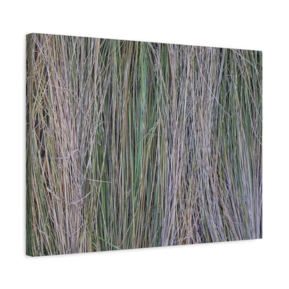 Whispers of Grass - Unique Frameless Canvas Wall Art