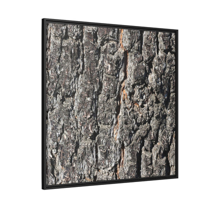 Aged Beauty - Unique Stretched Canvas Wall Art