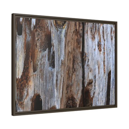 Decaying Splendor - Unique Stretched Canvas Wall Art
