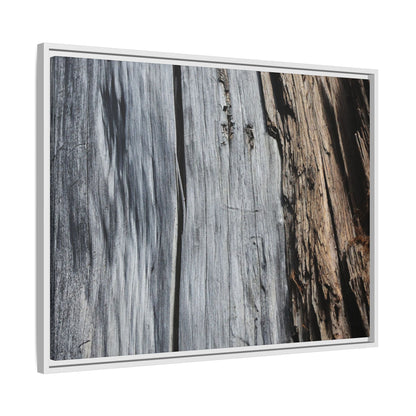 Wood's Lament - Unique Stretched Canvas Wall Art