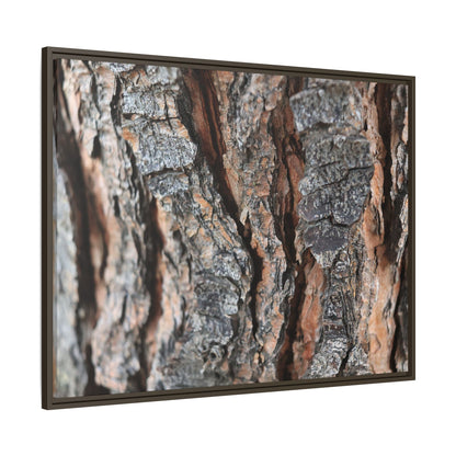 Fractured Nature - Unique Stretched Canvas Wall Art