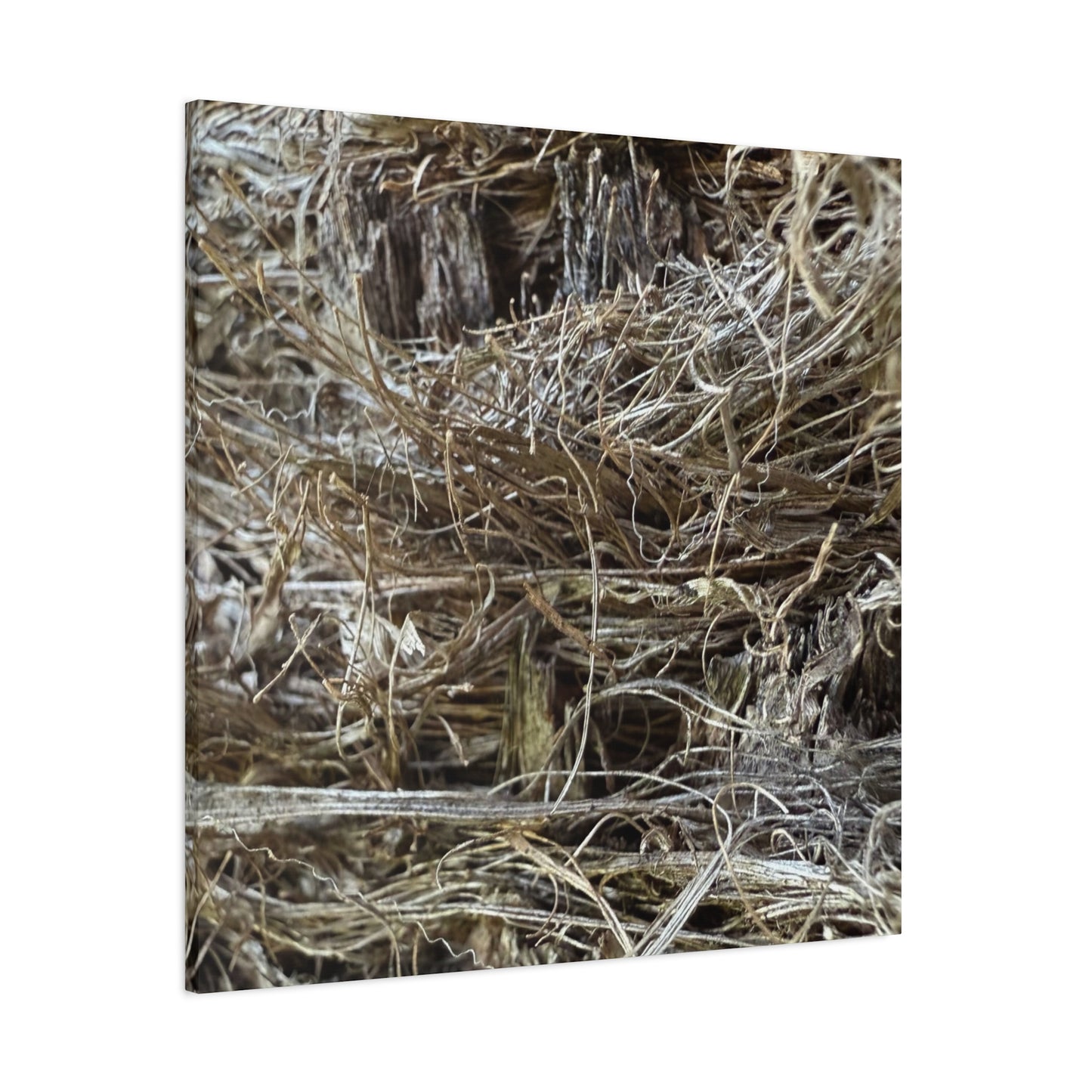 Whispers in Dry Grass - Unique Frameless Canvas Wall Art