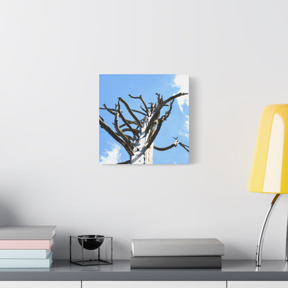 Skeletal Branches Reaching - Unique Frameless Canvas Wall Art