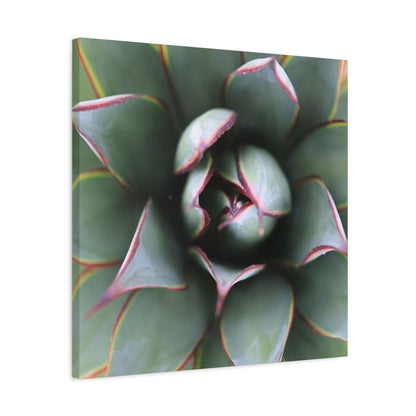 Emerald Spiral - Unique Frameless Canvas Wall Art