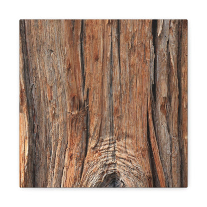 Bark's Ancient Whispers - Unique Frameless Canvas Wall Art