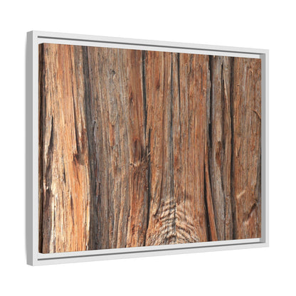 Echoes of Timber - Unique Stretched Canvas Wall Art