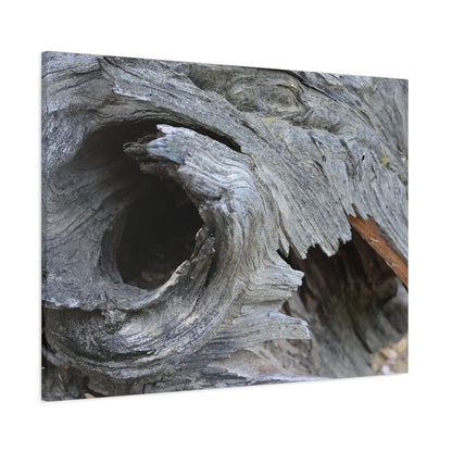 Twisted Whispers of the Forest Floor - Unique Frameless Canvas Wall Art