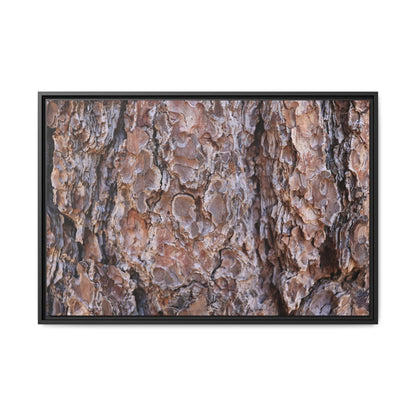 Woody Layers - Unique Stretched Canvas Wall Art