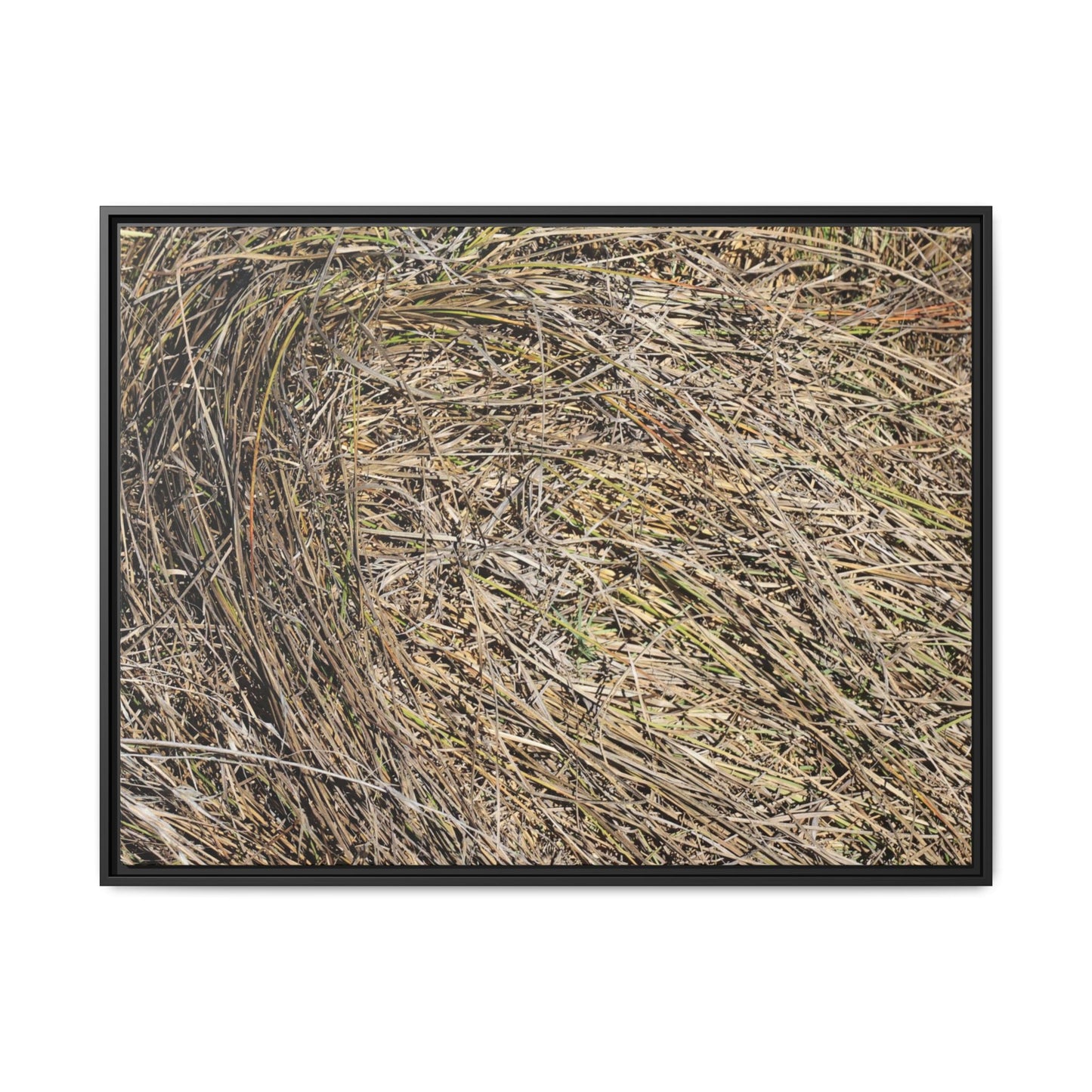 Tangled Grass Symphony - Unique Stretched Canvas Wall Art - Art By Earth