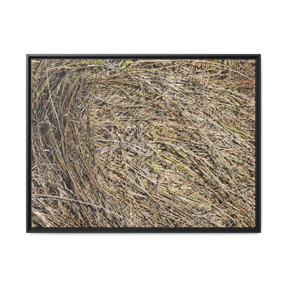 Tangled Grass Symphony - Unique Stretched Canvas Wall Art - Art By Earth