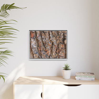 Tree's Timeworn Tale - Unique Stretched Canvas Wall Art
