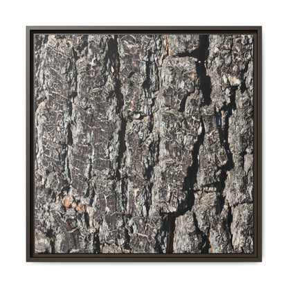 Bark Study in Gray - Unique Stretched Canvas Wall Art