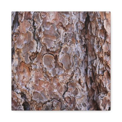Rugged Bark Landscape - Unique Frameless Canvas Wall Art