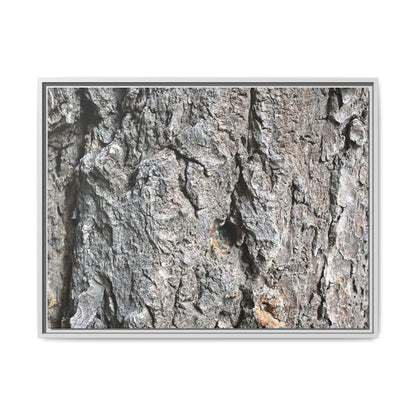 Crusty Exterior - Unique Stretched Canvas Wall Art