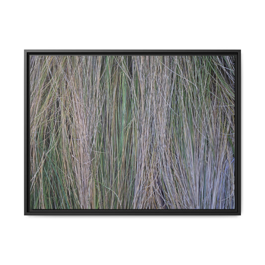 Whispers of Silver Grass - Unique Stretched Canvas Wall Art
