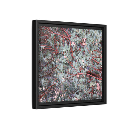 Whispers of Sage - Unique Stretched Canvas Wall Art