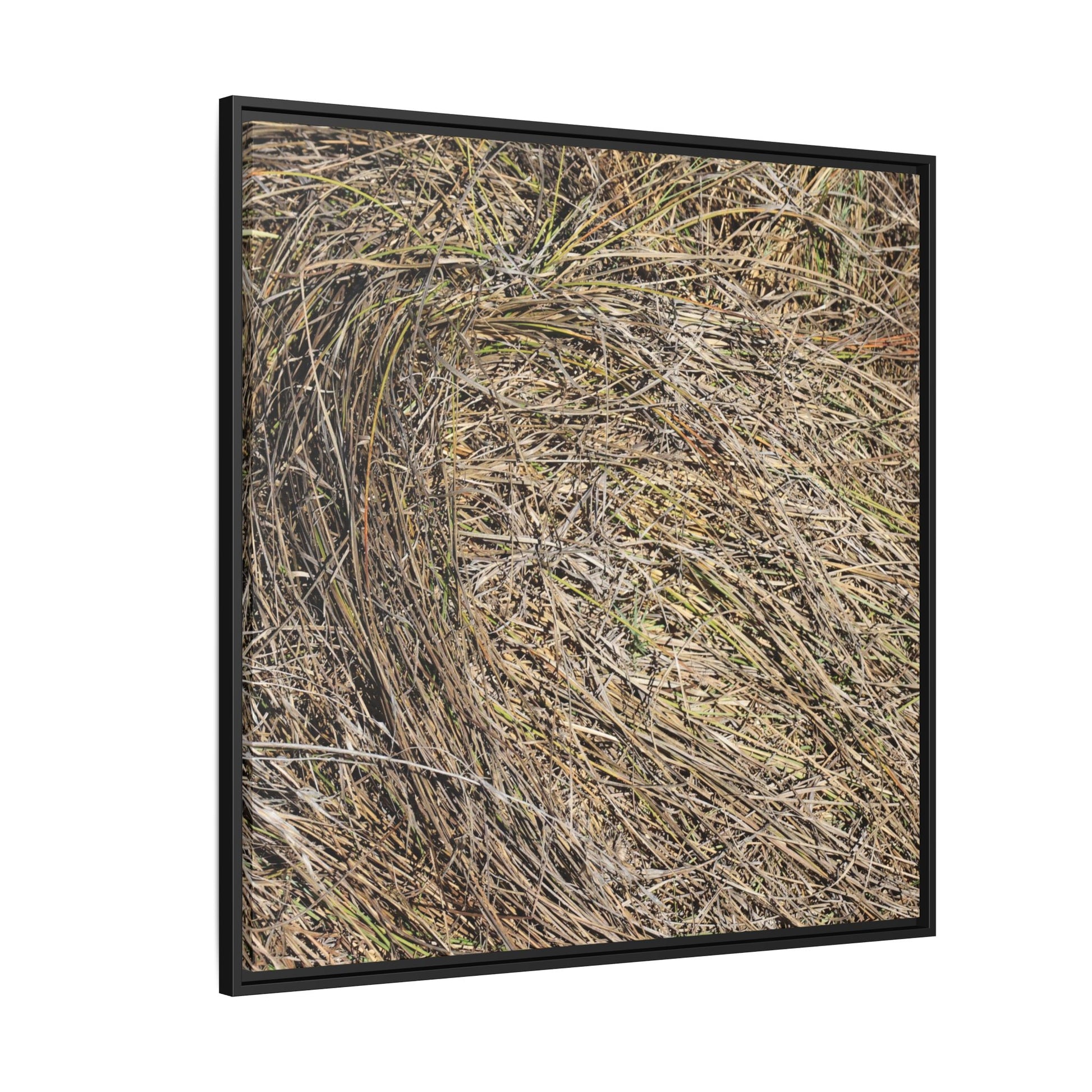 Tangled Grass Symphony - Unique Stretched Canvas Wall Art - Art By Earth