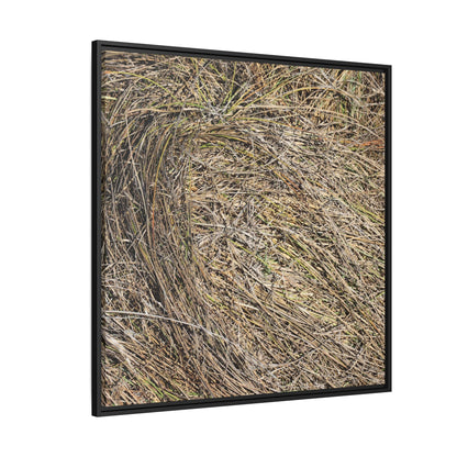 Tangled Grass Symphony - Unique Stretched Canvas Wall Art - Art By Earth