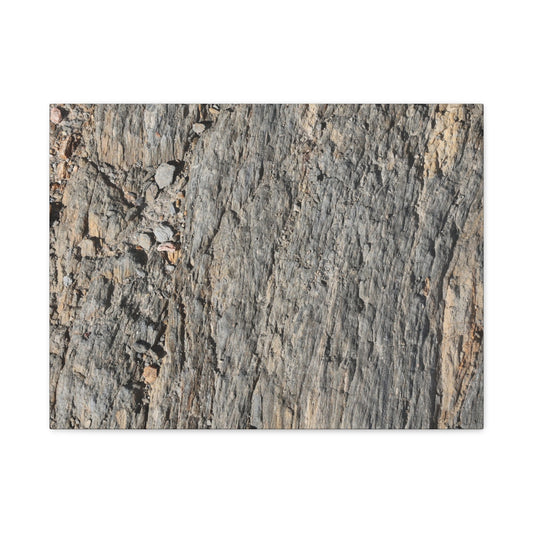 Bark Echoes - Unique Frameless Canvas Wall Art