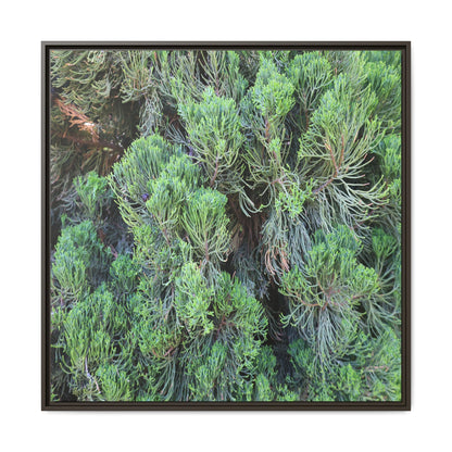 Verdant Whispers - Unique Stretched Canvas Wall Art