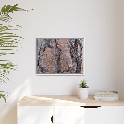 Tree Skin Symphony - Unique Stretched Canvas Wall Art