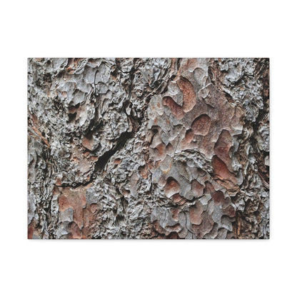 Textured Whispers of Bark - Unique Frameless Canvas Wall Art