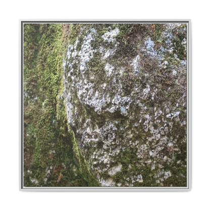 Lichen Landscape - Unique Stretched Canvas Wall Art