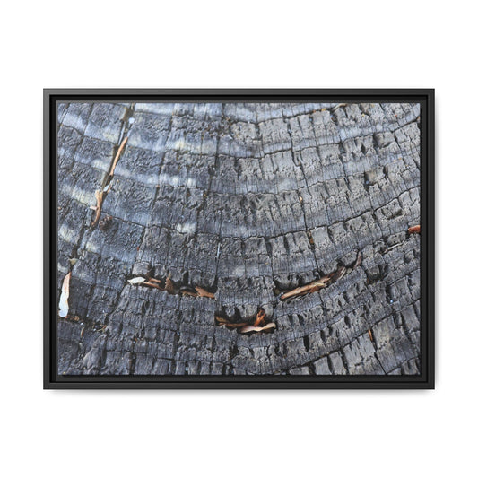 Charred Circles - Unique Poster Wall Art