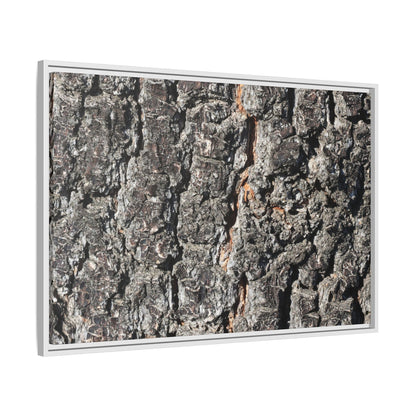 Aged Beauty - Unique Stretched Canvas Wall Art