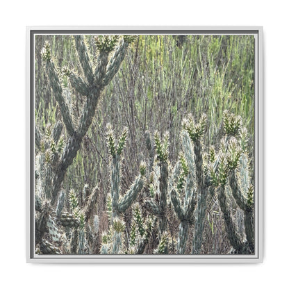 Prickly Paradise - Unique Stretched Canvas Wall Art