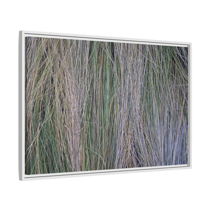 Whispers of Silver Grass - Unique Stretched Canvas Wall Art