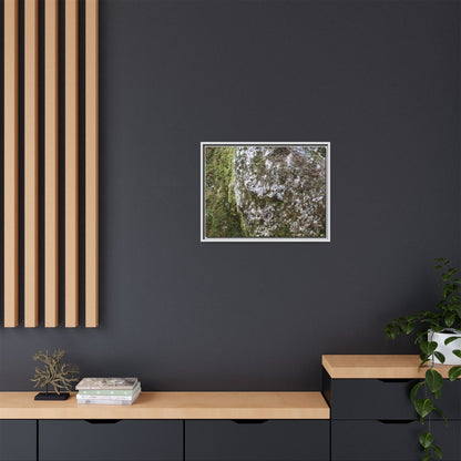 Lichen Landscape - Unique Stretched Canvas Wall Art