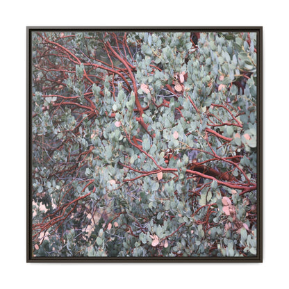 Whispers of Sage - Unique Stretched Canvas Wall Art