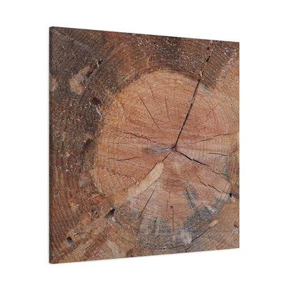 Timber Tale - Unique Frameless Canvas Wall Art