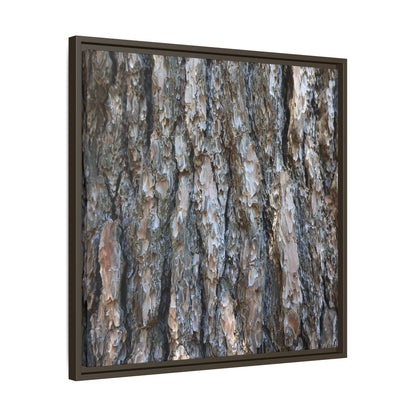 Bark Whispers - Unique Stretched Canvas Wall Art