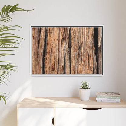 Timber Echoes - Unique Stretched Canvas Wall Art